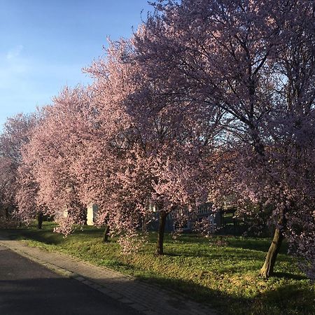 Mecseki Farkaslak Villa Magyarhertelend Bagian luar foto